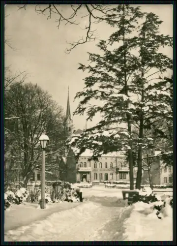 4x Foto AK - Postkarten - Bad Elster im Vogtland - DDR Ansichten 1960er