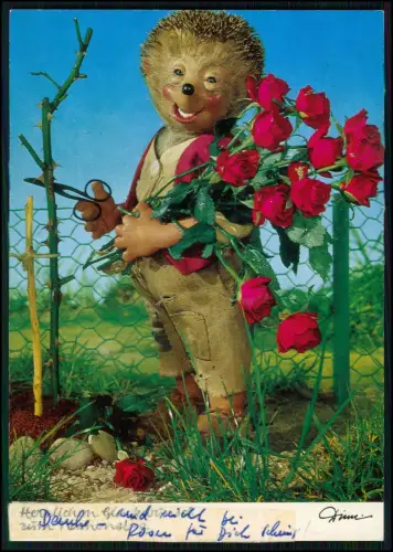 5x AK - Mecki Igel - Diehl-Film München - Humor Spruch Karte - Zeitschrift HÖRZU