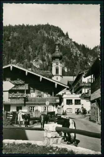 Foto AK - Reit im Winkl - Dorfansicht mit Kühen - und Pfarrkirche St. Pankratius