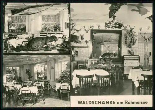 2x Foto AK - Wanne Eickel Herne Stadtgarten Bootspartie Thermalbad Ruhrgebiet