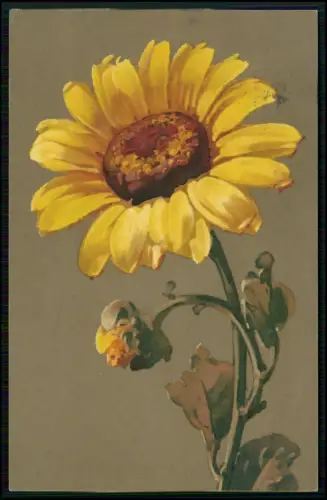 2x AK - Sonnenblume und Blätter mit Beeren - von Meißner & Buch - 1914 gelaufen