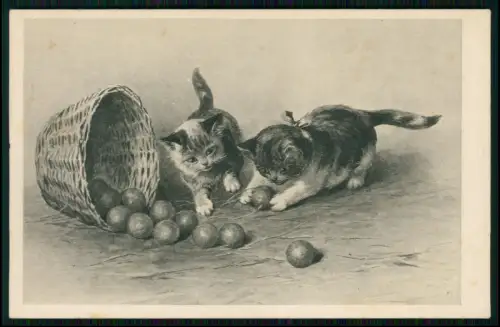 4x AK Postkarte gelaufen niedliche Kätzchen Tiermotive Katzen 1905-1910 gelaufen