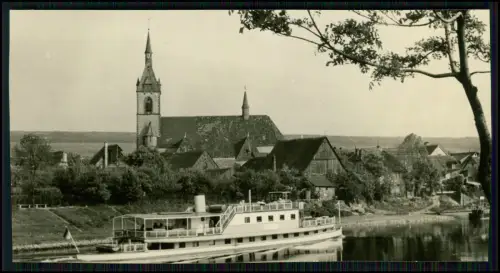 11x Foto - Fohlenplacken Neuhaus Solling Höxter Weser Hann. Münden