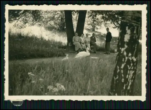 14x Foto - Reise 1938 mit Auto Kennzeichen IK Schlesien Polen diverse Ansichten