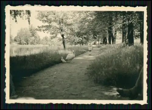 14x Foto - Reise 1938 mit Auto Kennzeichen IK Schlesien Polen diverse Ansichten