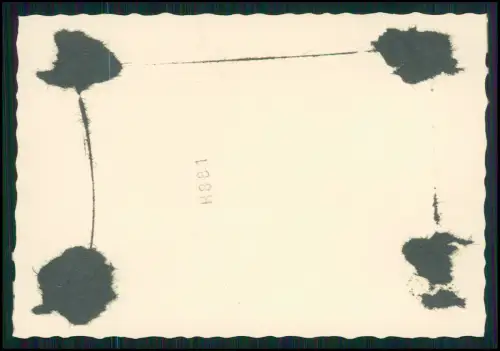 15x Foto Reise Frankfurt-Höchst Reisebusses Höchster Reisebüros1950er  A 54-6740