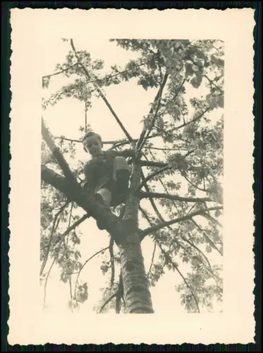 12x Foto 11x8cm- Koblenz Asterstein - Plateau Pfaffendorfer Höhe nahe Rhein 1944