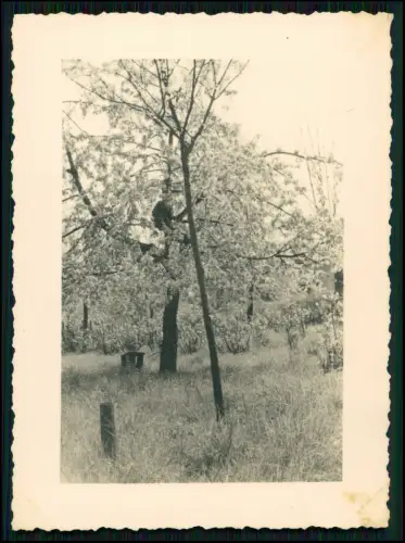 12x Foto 11x8cm- Koblenz Asterstein - Plateau Pfaffendorfer Höhe nahe Rhein 1944
