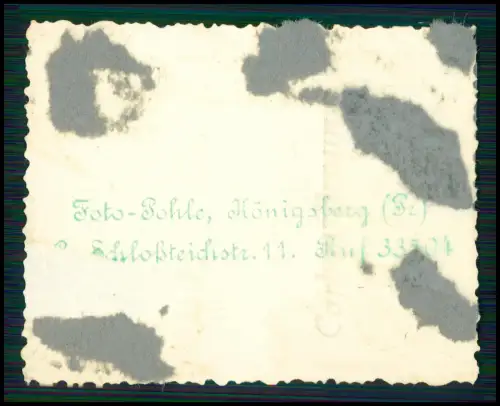 4x Foto - Portrait Soldat Luftwaffe - Atelier Pohle - Königsberg Ostpreußen 1941