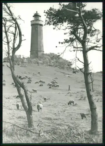 5x AK - Hiddensee Ostsee Insel - Kloster Vitte Neuendorf Leuchtturm Dornbusch...