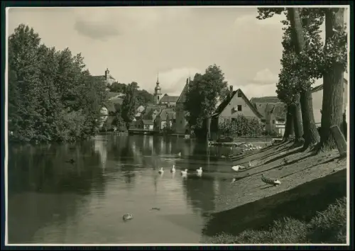 Foto 18x13 - Vaihingen an der Enz - Blick Enzufer Bäume Peterskirche Stadtkirche