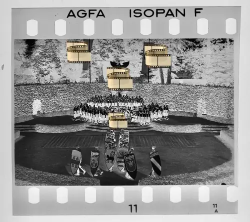 Original Negativ 4x3,5cm - Lübeck Holstein - Wappen Gebiete Wien Straßburg .....