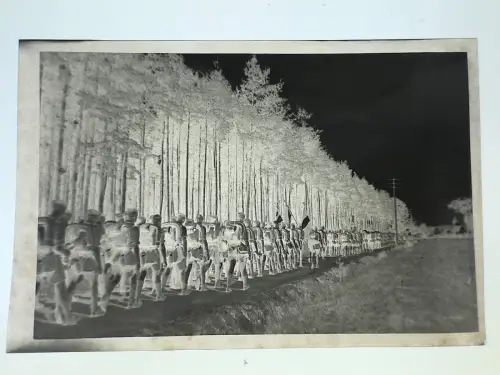 3x Original Negativ 9x6cm - Jungs kurze Hose Marsch Zeltlager ...