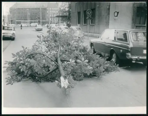 Pressefoto 22x17cm Dortmund Straßenmotiv Sturmschaden - großer Ast auf Fahrbahn