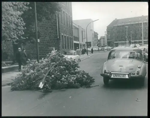 Pressefoto 22x17cm Dortmund Sturmschaden Ast Fahrbahn Auto Union 1000 S UN HJ 87