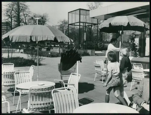 Pressefoto 22x17 - Dortmund Westfalenpark Terrasse Café Sitzmöbeln Sonnenschirme