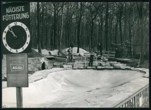 Pressefoto 18x13cm Dortmund Tierpark Seelöwenbecken Geschenk von Kaufhaus Küster