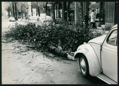 Pressefoto 18x13 - Dortmund Sturm Bäume VW Käfer Straßenschaden Unwetterschäden