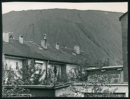 Pressefoto 18x13 Dortmund Bergarbeitersiedlung vor großer Halde Zechenlandschaft