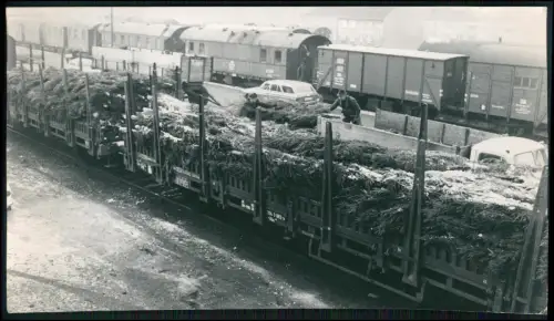 Pressefoto 23x12 - Dortmund Verladebahnhof 1967 Weihnachtsbäume Bahnverladung DB