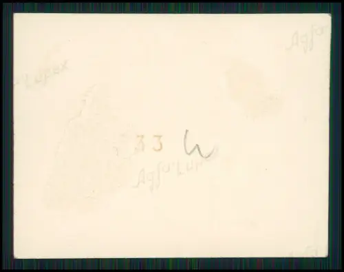 19x Foto - Gebiet bei Arabba Winter Dolomiten Italien 1937 Familie aus Hamburg