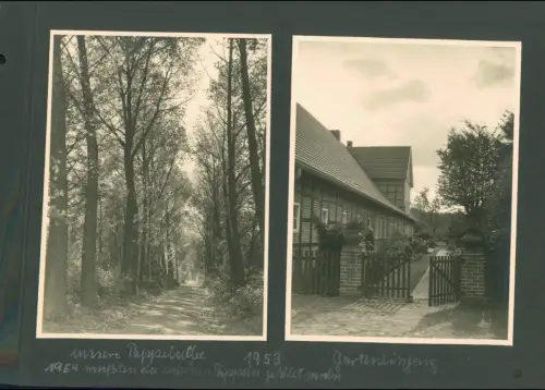 Fotoalbumseiten 31x22 H. Heitgreß 58 Fotos - Kattenvenne Lienen Tecklenburger L.