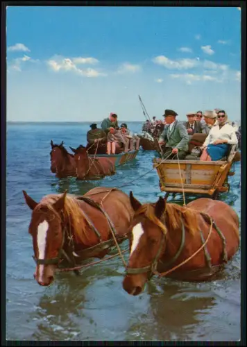 4x AK - Nordsee Husum Landkarte Halbinsel Eiderstedt und Kutsche im Wattenmeer