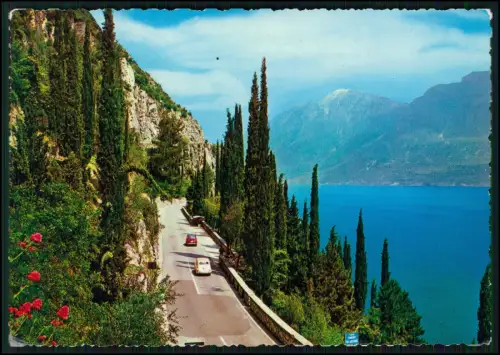 8x AK - Gardasee - Lago di Garda oder Benaco - Panorama Ufer und andere vom See