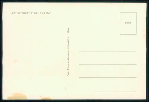 7x AK - Holland Niederlande - Windmühle Blumen Gouda Tracht - und andere NL