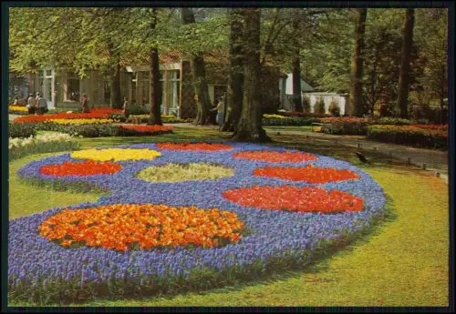 7x AK - Holland Niederlande - Windmühle Blumen Gouda Tracht - und andere NL