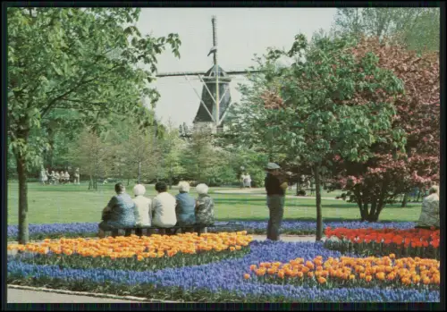 7x AK - Holland Niederlande - Windmühle Blumen Gouda Tracht - und andere NL