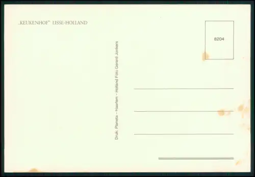 7x AK - Holland Niederlande - Windmühle Blumen Gouda Tracht - und andere NL