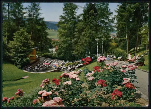 3x AK - Baiersbronn im Schwarzwald - Cafe Gasthof Pension Berghof - G. Gaiser