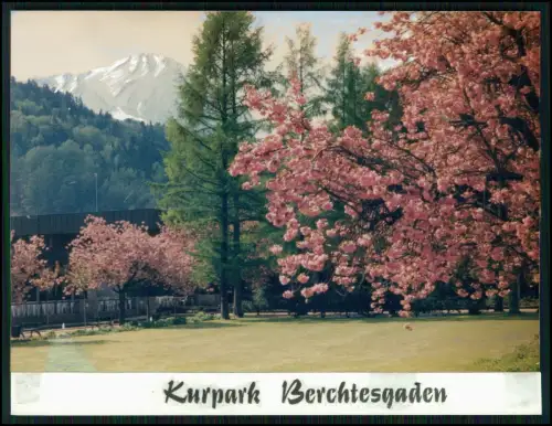 19x Foto - Berchtesgaden Umgebung - Berchtesgadener Land Königssee Watzmann uvm.