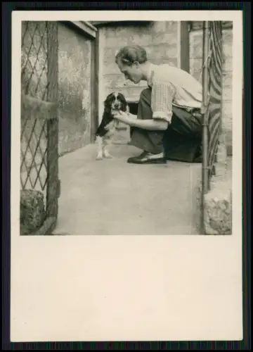 23x Foto - Tierheim Zwinger Hunde Pflege Betreuung Tierfreund Hundemotiv 1940er