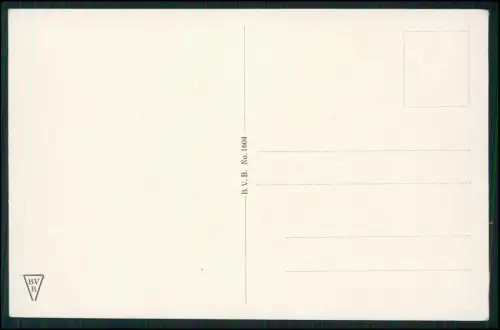 AK  Porträt Generalfeldmarschall Hindenburg kolorierte Künstlerkarte BVB Nr 1604