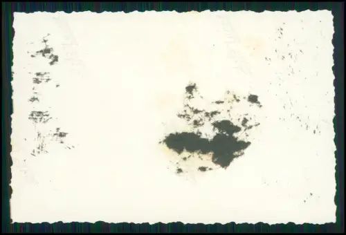 12x Foto - Wehrmacht Soldaten Baden Küste Danzig Gdańsk ü. Oliwski Park 1940