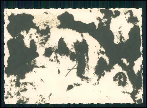 12x Foto - Wehrmacht Soldaten Baden Küste Danzig Gdańsk ü. Oliwski Park 1940