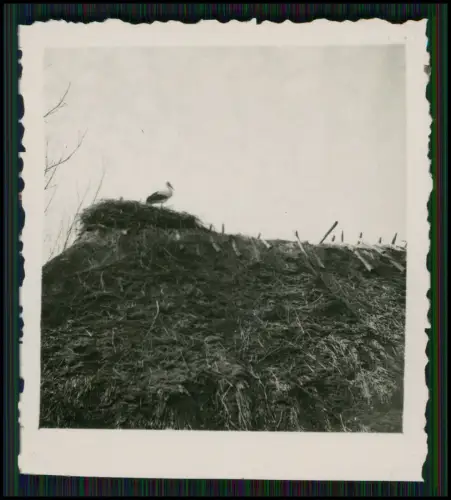 15x Foto - Soldaten Wehrmacht - Pkw Lkw Fahrzeug Ostfront Dorf Bauern und andere