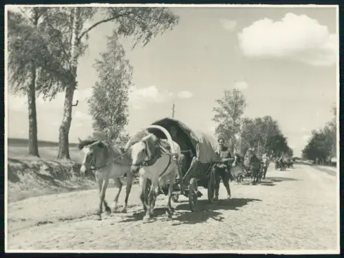 Foto 23x17 - Minsk Rollbahn Wehrmacht Soldaten Pferdegespanne Bauern Flüchtlinge