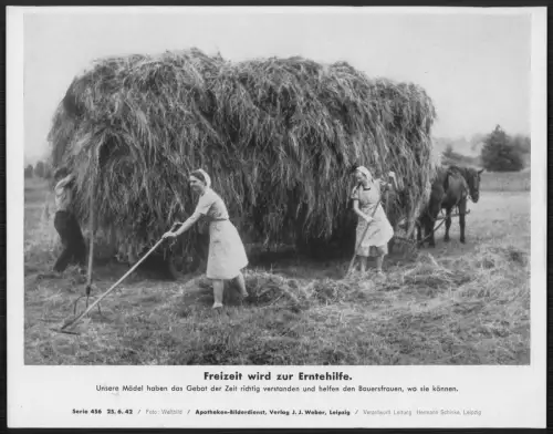 Deutschland Bauern Erntehilfe 1942 Heuernte Frauen mit Rechen Heubock Pferd
