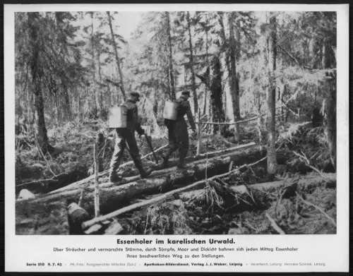 Karelischer Urwald Essenholer Soldaten - Versorgung Russ. - PK  1943 Wehrmacht