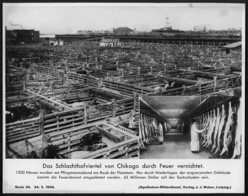USA - Das Schlachthofviertel von Chicago durch Feuer vernichtet - 1500 Häuser