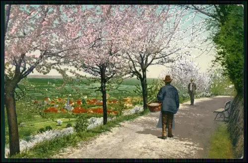 11x AK - Künstler Postkarten Illustrationen Zeichnungen Kunstdrucke 1900-25 gel.