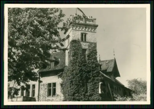 5x Foto - Die Wilhelmsburg in Lage im Kreis Lippe bei Detmold - Ansichten