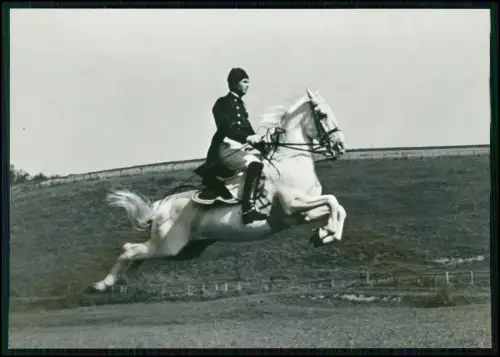 2x Foto AK - Wien Spanische Hofreitschule - Kapriole Reiter - Lipizzaner Pferde