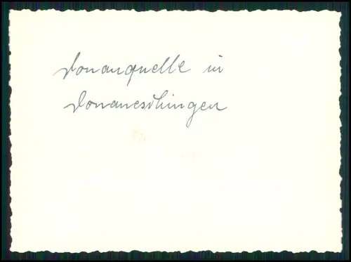 12x Foto - Stein am Rhein und Rheinfall Reise - handschriftlich Info Rückseite