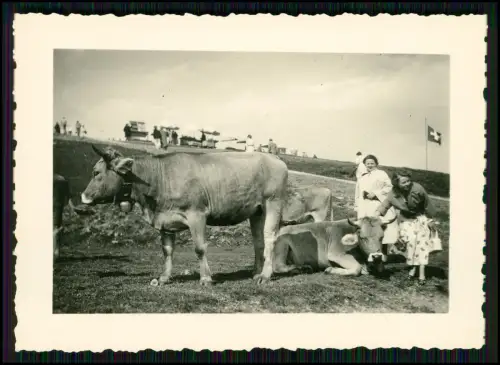 12x Foto - Rigi Kaltbad Schweizer Alpen 1950er - handschriftlich Info Rückseite