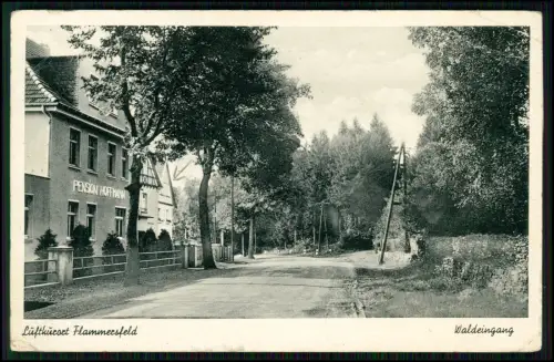 2x AK Flammersfeld Ortsrand - Altenkirchen - Straßenverlauf Richtung Waldbereich
