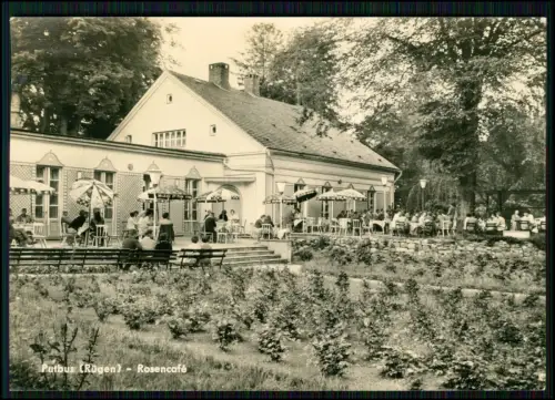 6x AK - Putbus Rügen Rosencafé Hiddensee Darß Prenzlau Hotel Uckermark Karten
